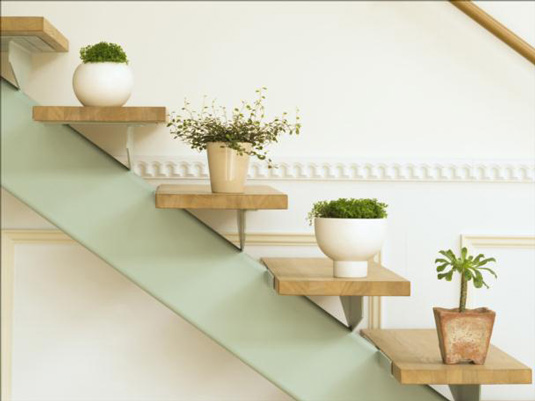 green-house-plants-ideas-and-stairs