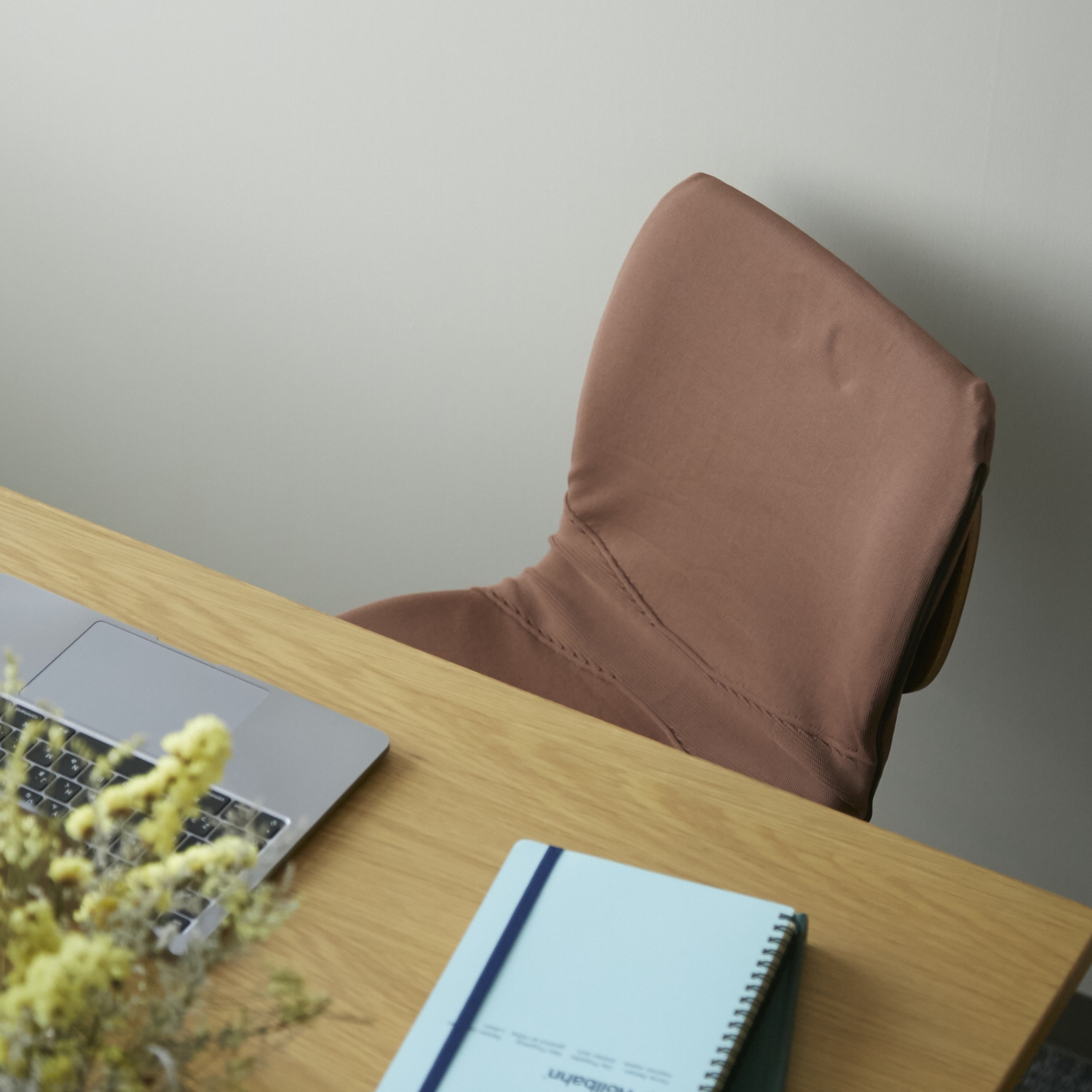 pinto air（renewal）