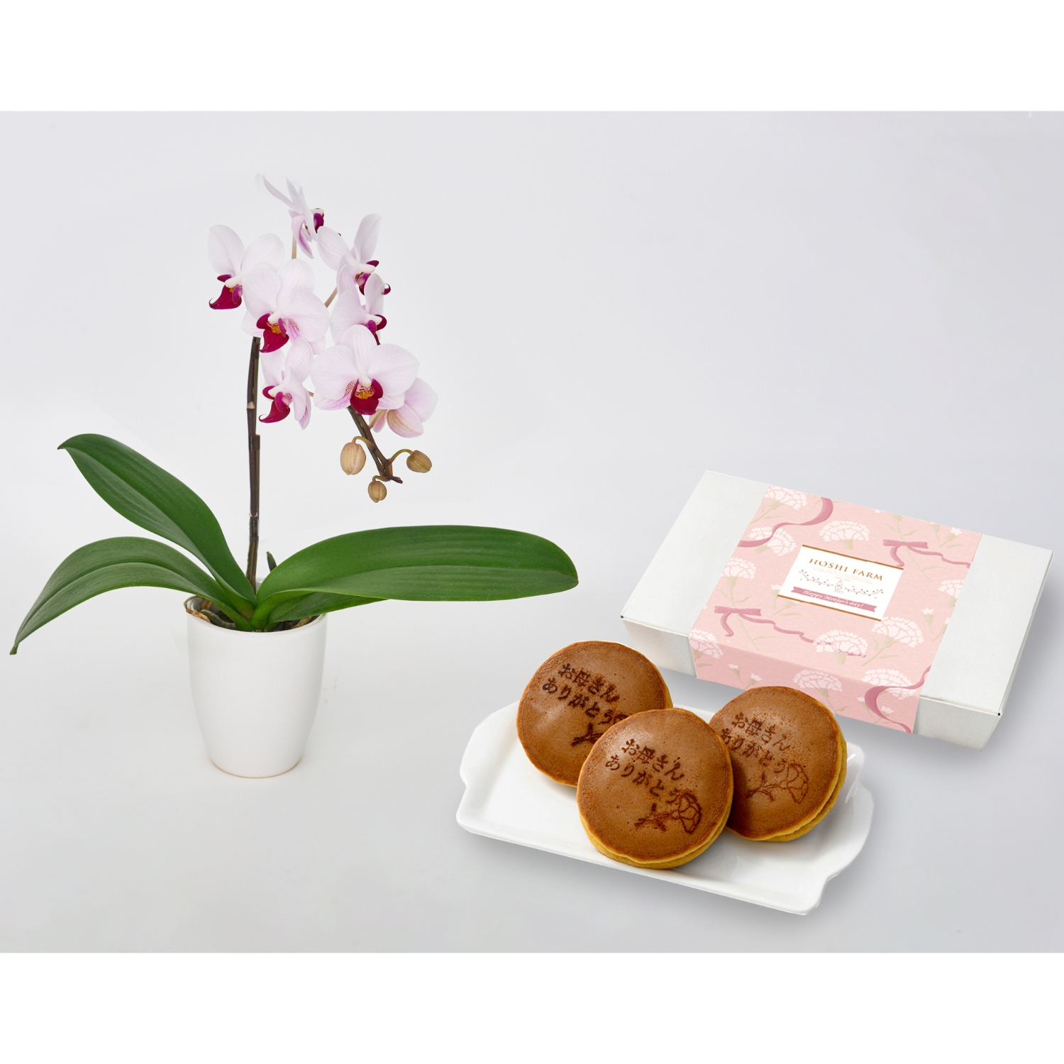 【5/5-10着（着日指定不可）】ミディコチョウラン鉢植え＋徳島なると金時のどら焼き