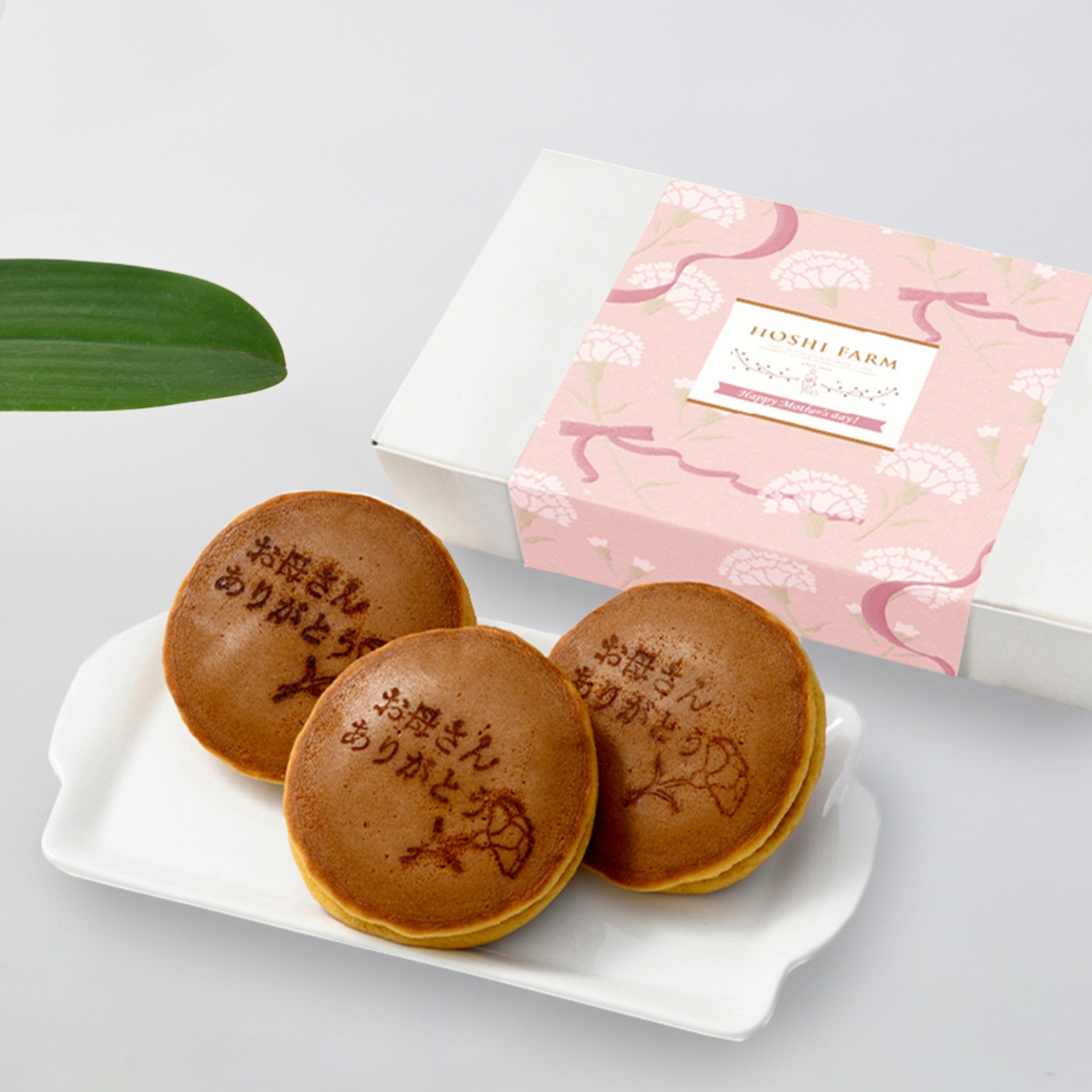 【5/5-10着（着日指定不可）】ミディコチョウラン鉢植え＋徳島なると金時のどら焼き