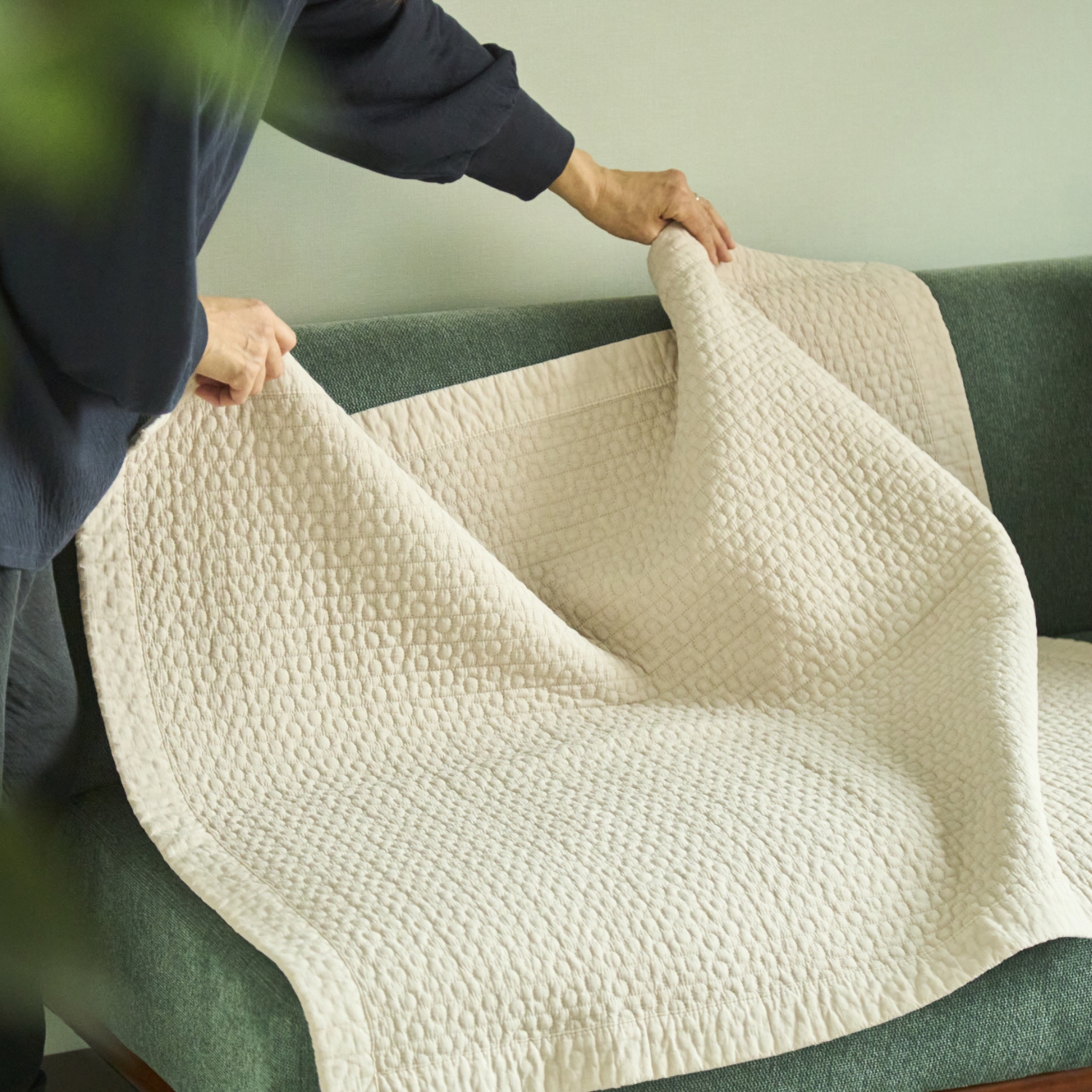 8182/オーガニックコットン ドットスモールイブル