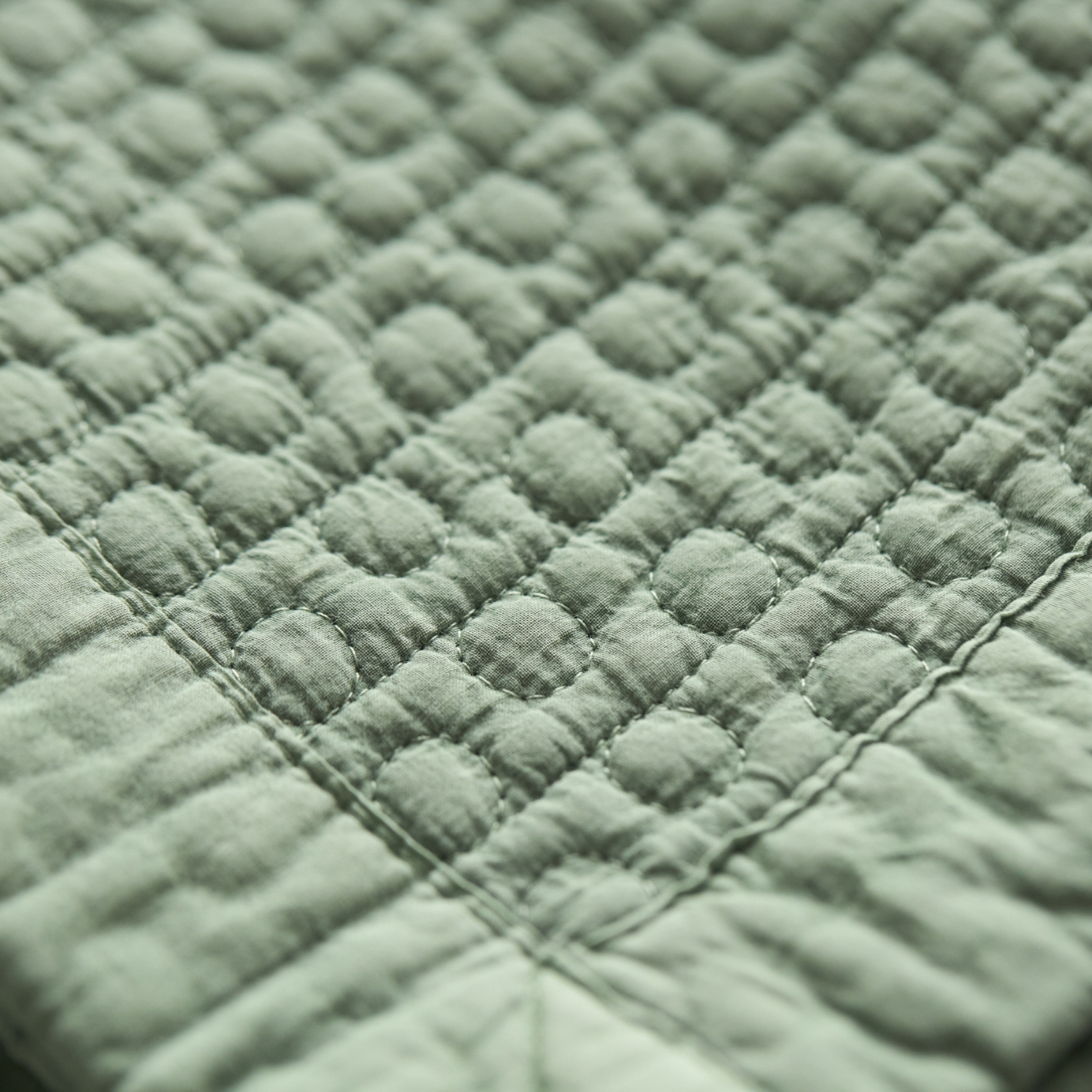 8182/オーガニックコットン ドットイブル 150