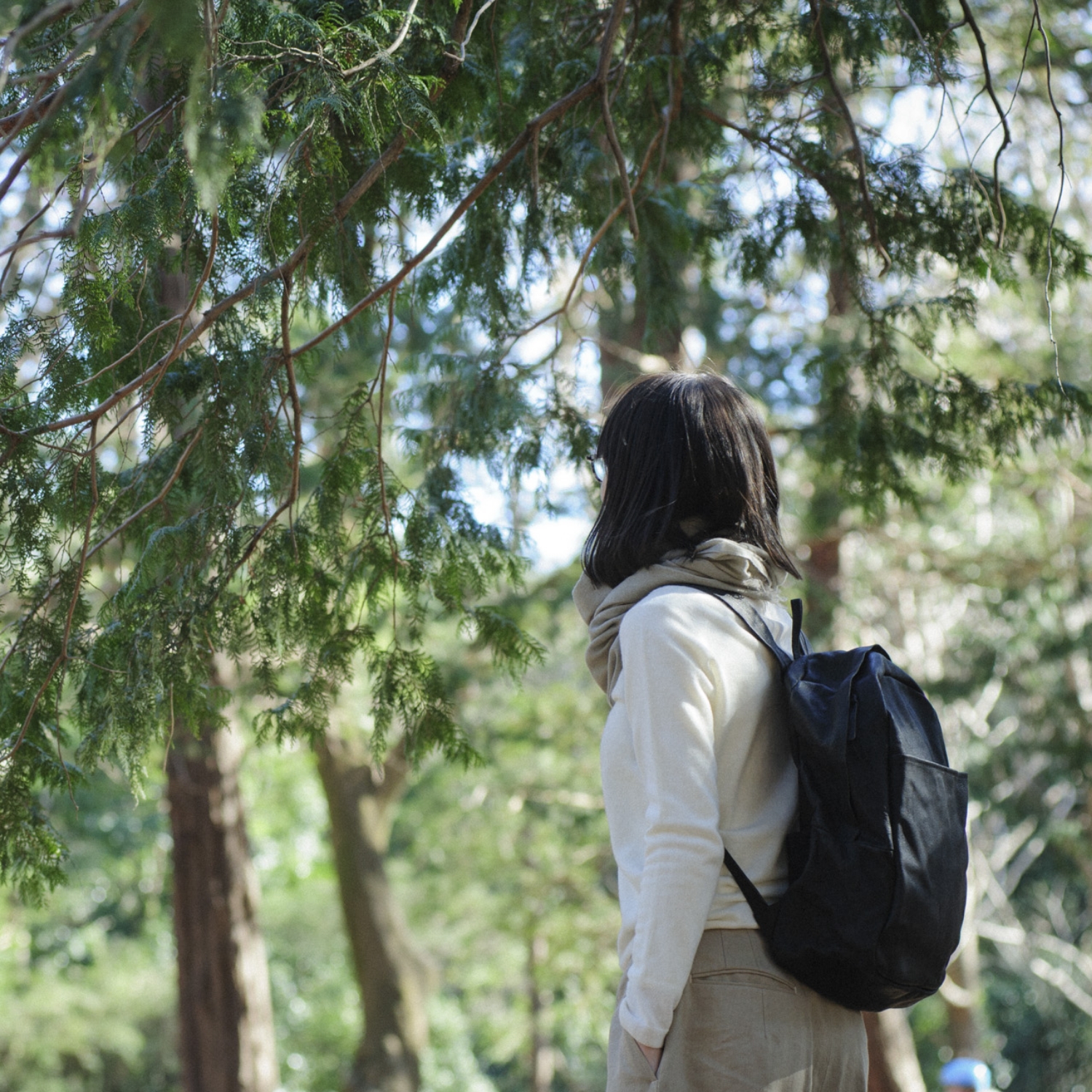 【期間限定販売】sonor/ARAI BACKPACK ICHI