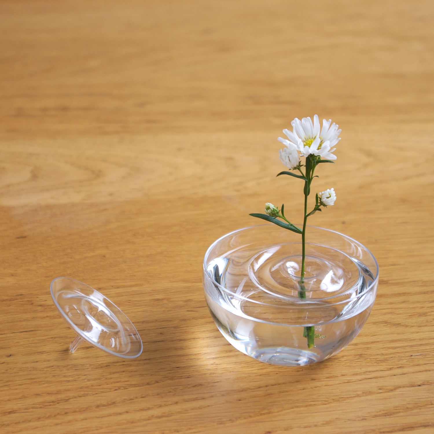 oodesign/Floating Vase RIPPLE