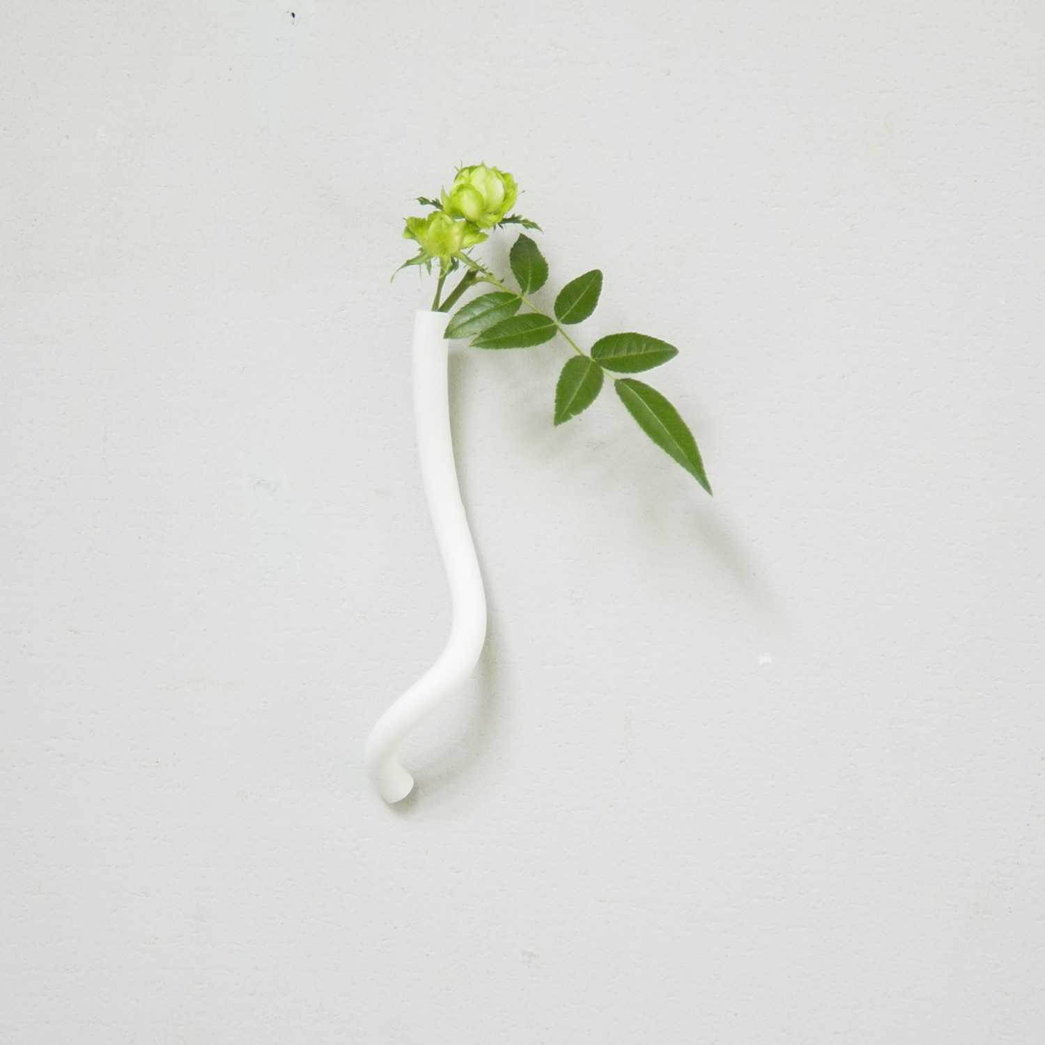ceramic Japan/Neo+S