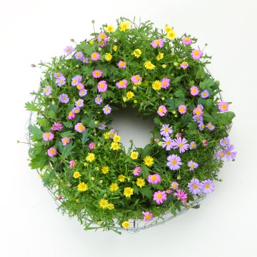 【5/4~8着(着日指定不可)】プリンセスマムのリース