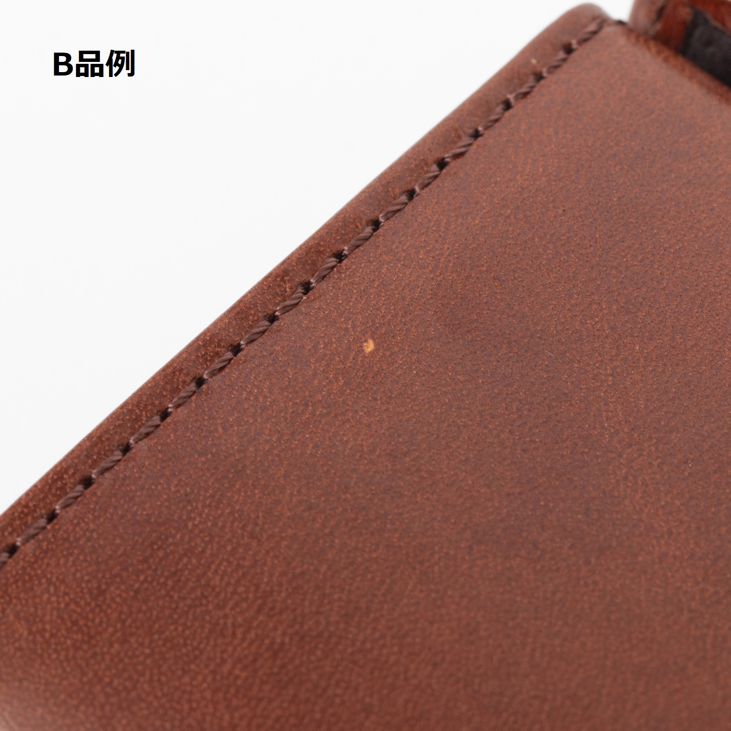 m+/ウォレット MILLEFOGLIE MEDUSA 25 B品 -【数量限定・B品】中身が 
