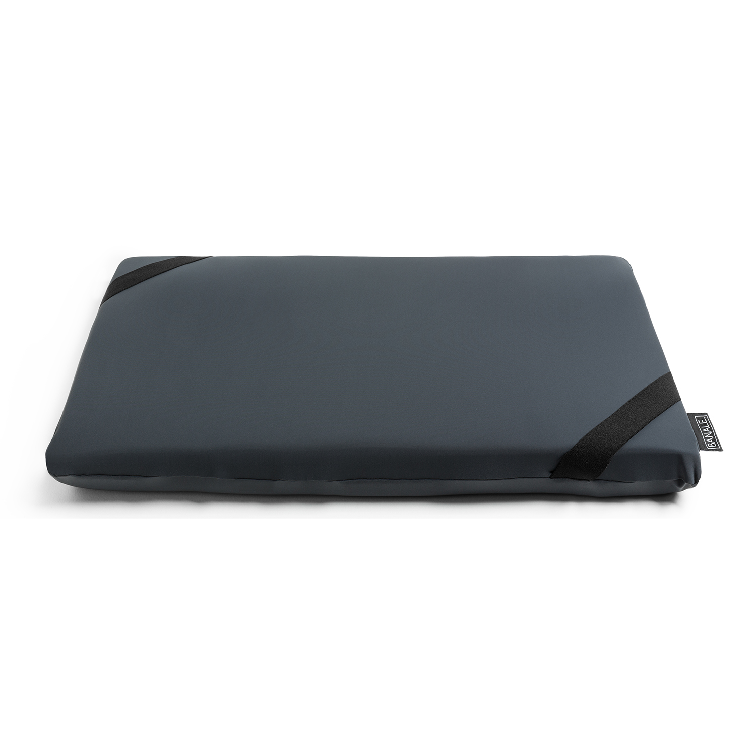 BANALE/OMNI PILLOW