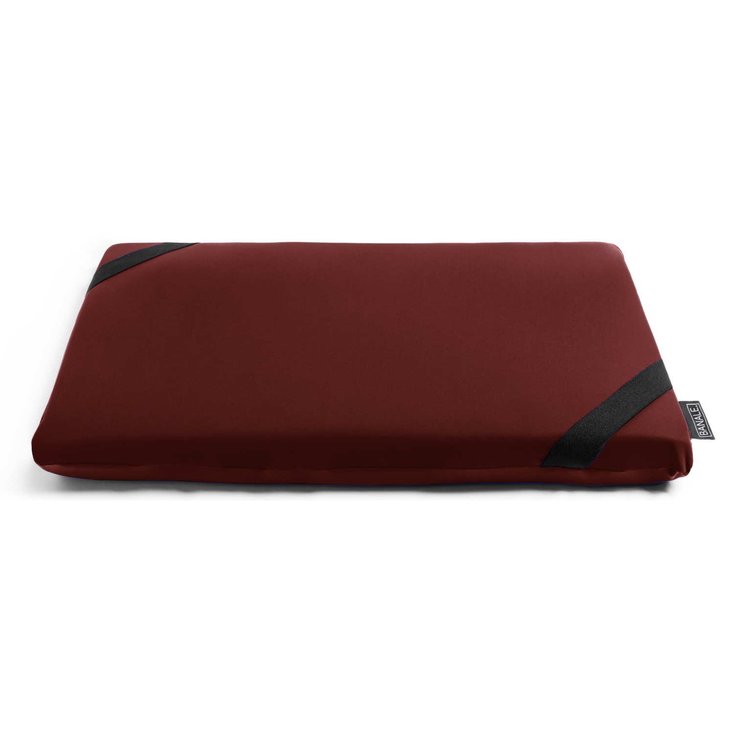 BANALE/OMNI PILLOW