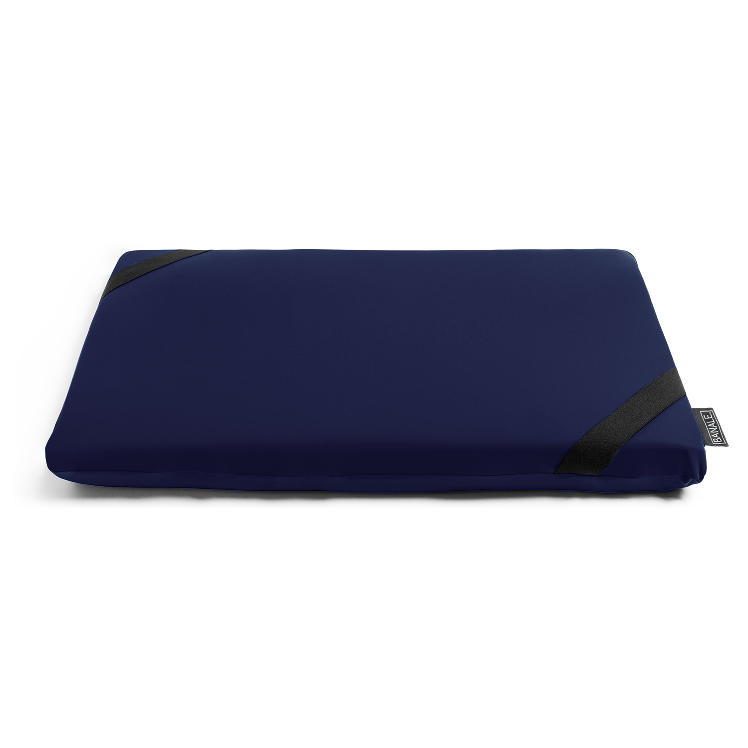 BANALE/OMNI PILLOW