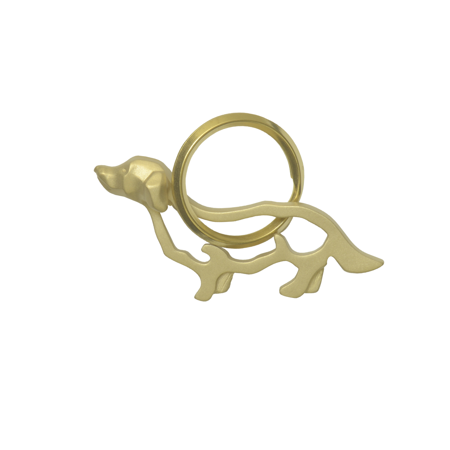 Dachshund/ダックスフンド