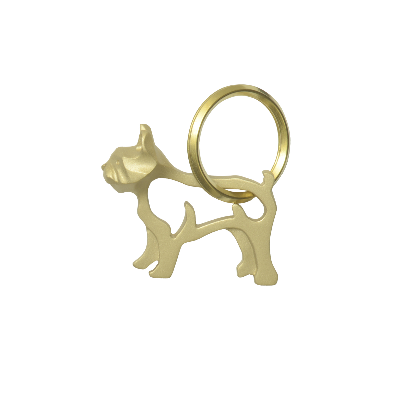 Boston terrier/ボストンテリア