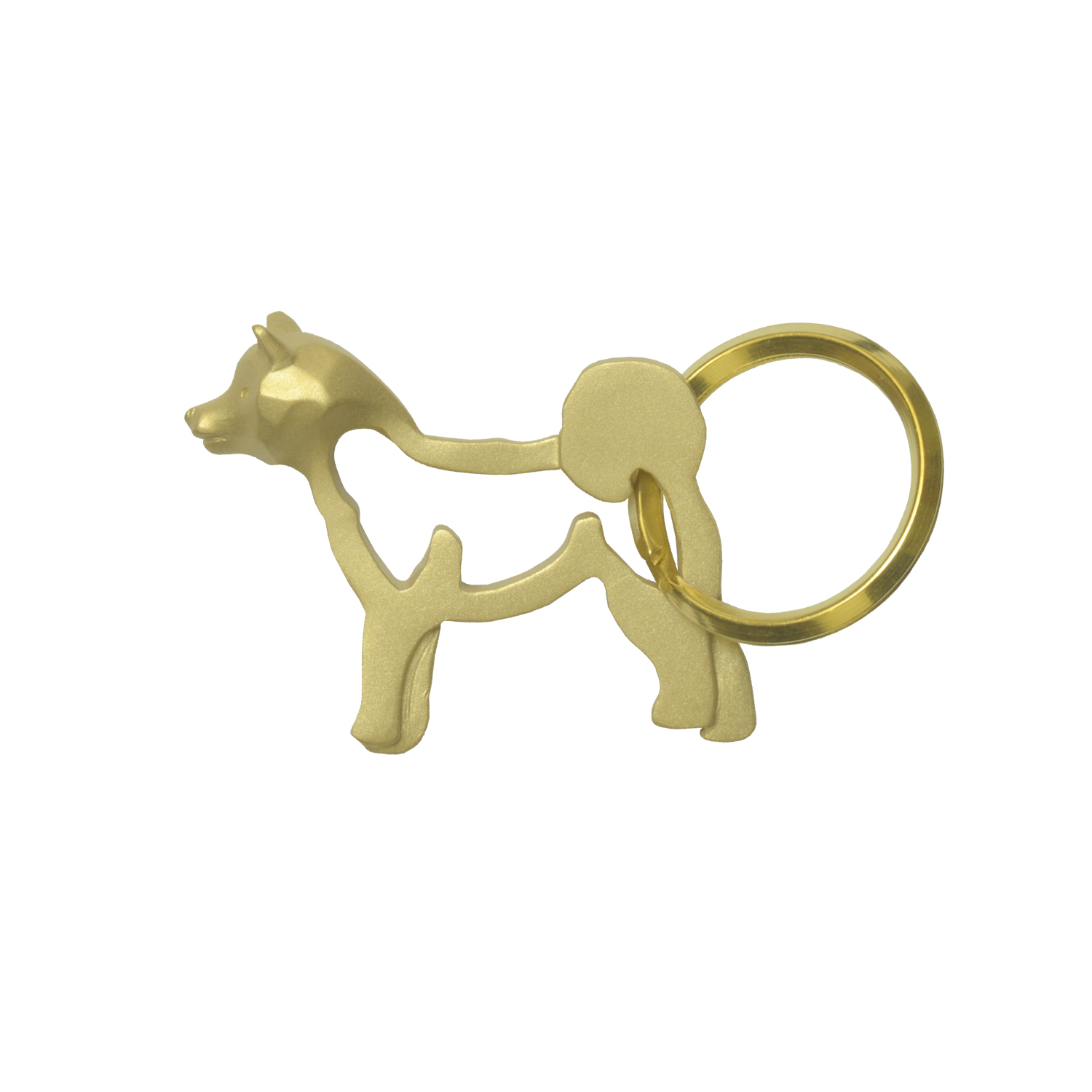 Shiba/柴犬