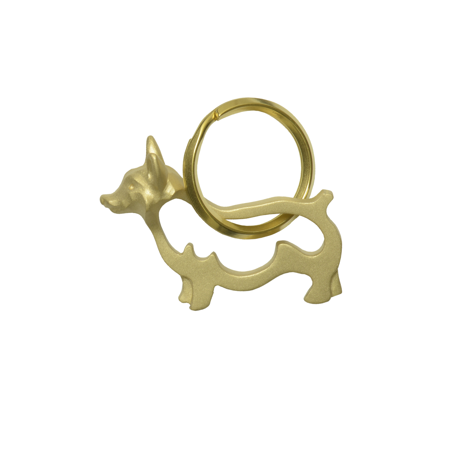 Corgi/コーギー