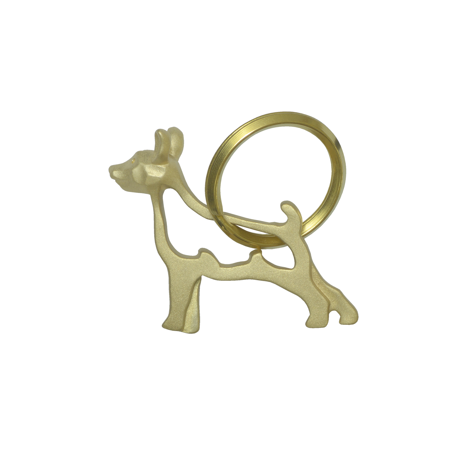 Pinscher/ピンシャー