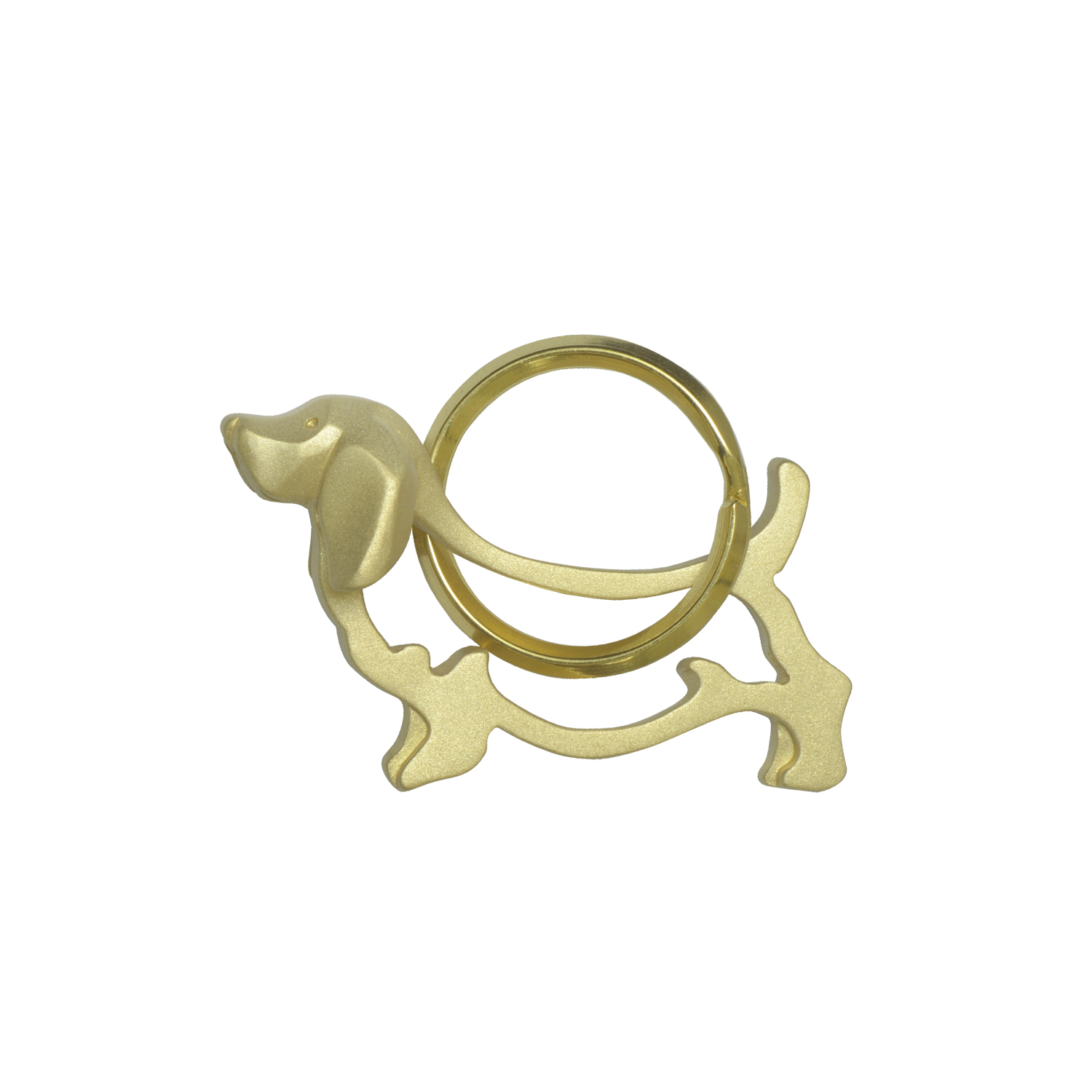 Basset hound/バセットハウンド