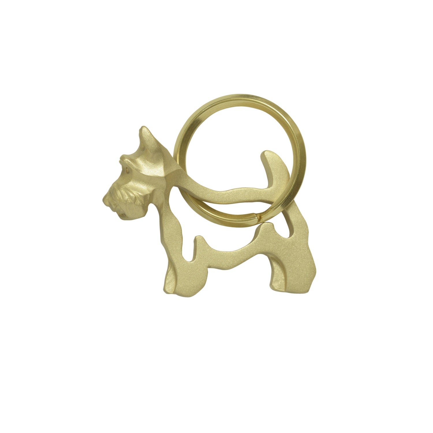 Scottish terrier/スコティッシュテリア