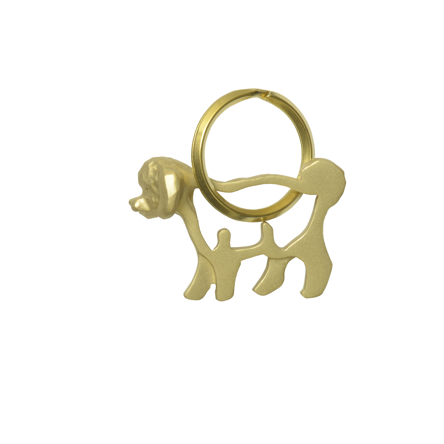 Poodle/プードル