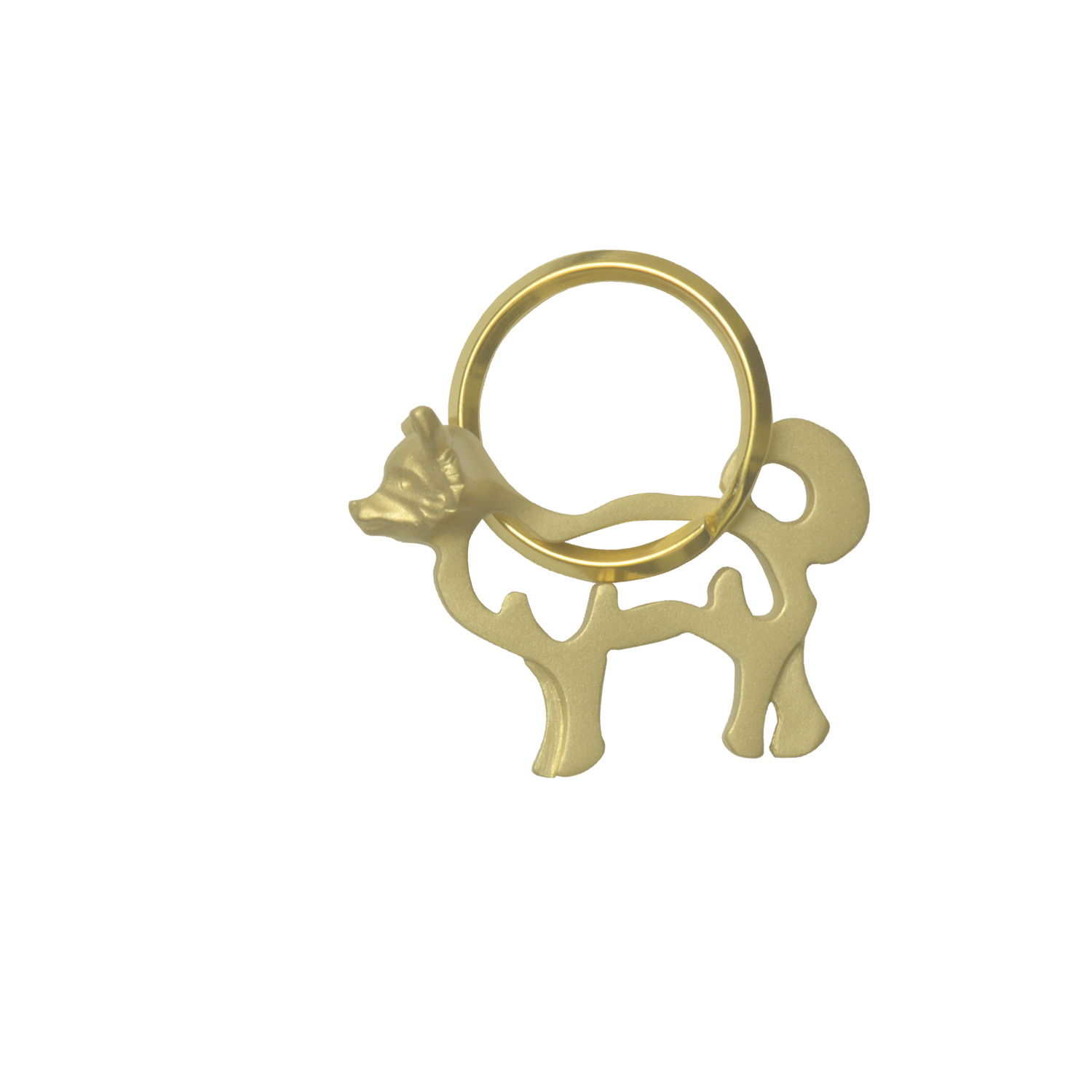 Chihuahua/チワワ
