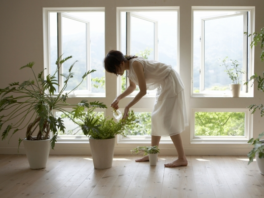 グリーンがあるだけでポジティブになれる?! 暮らしに植物を取り入れる7つのポイント