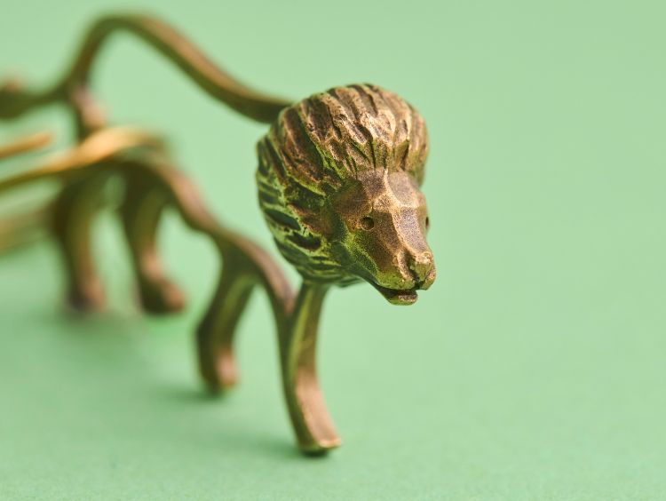 【あの人の買ってよかったBest3】我が子絶賛の水と塩、それと大切なライオンの話